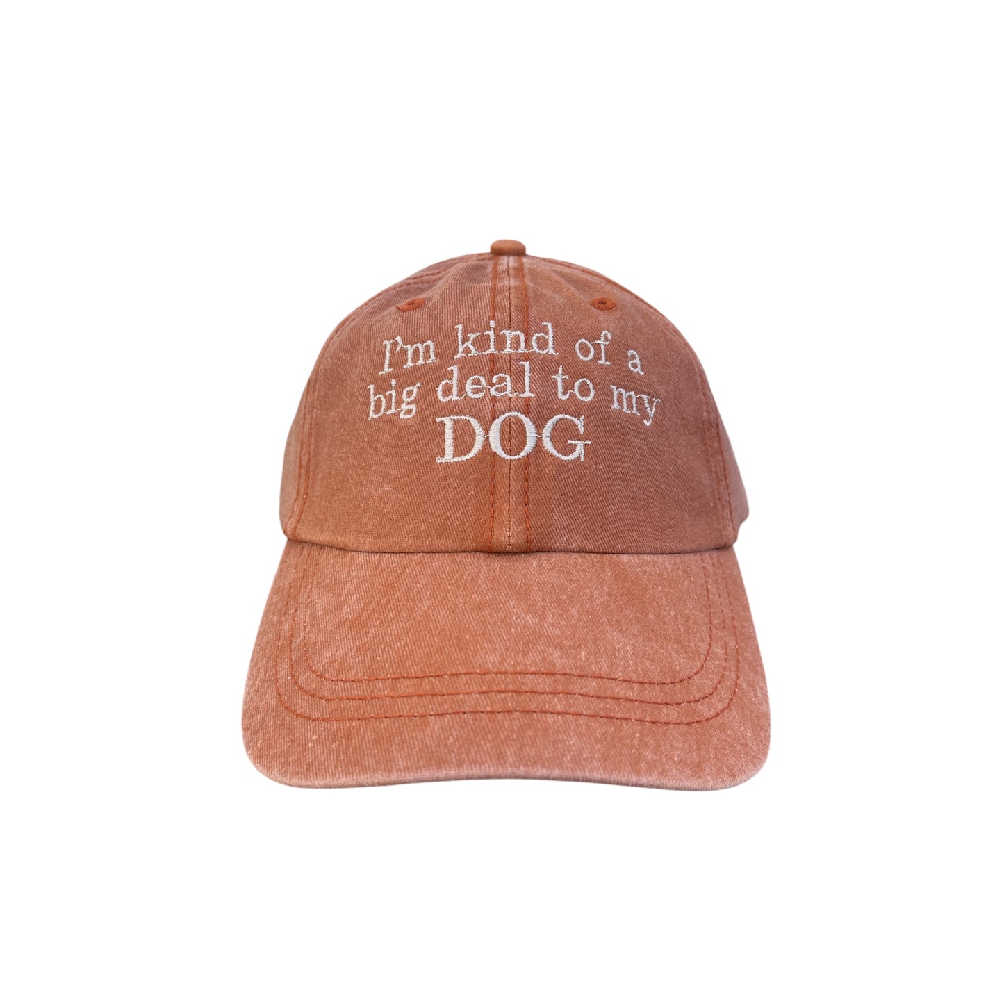 I'm Kind Of A Big Deal To My Dog Baseball Cap