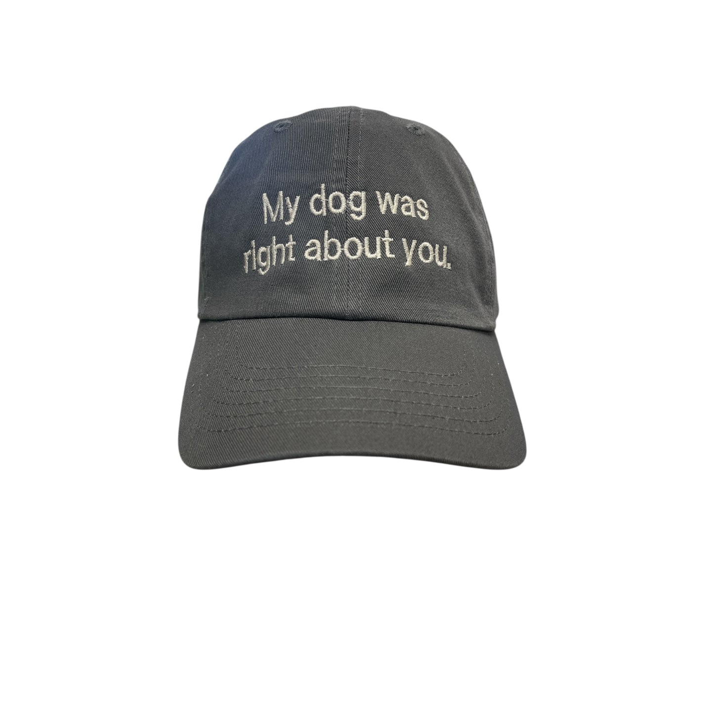 My Dog Was Right About You Baseball Cap