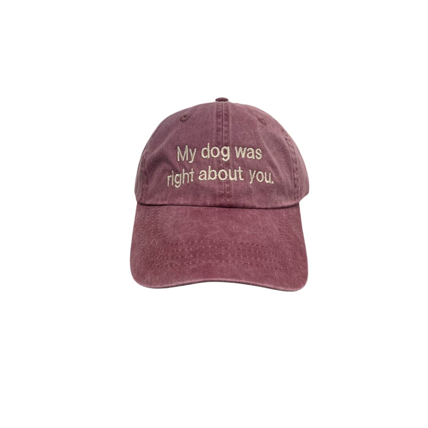 My Dog Was Right About You Baseball Cap