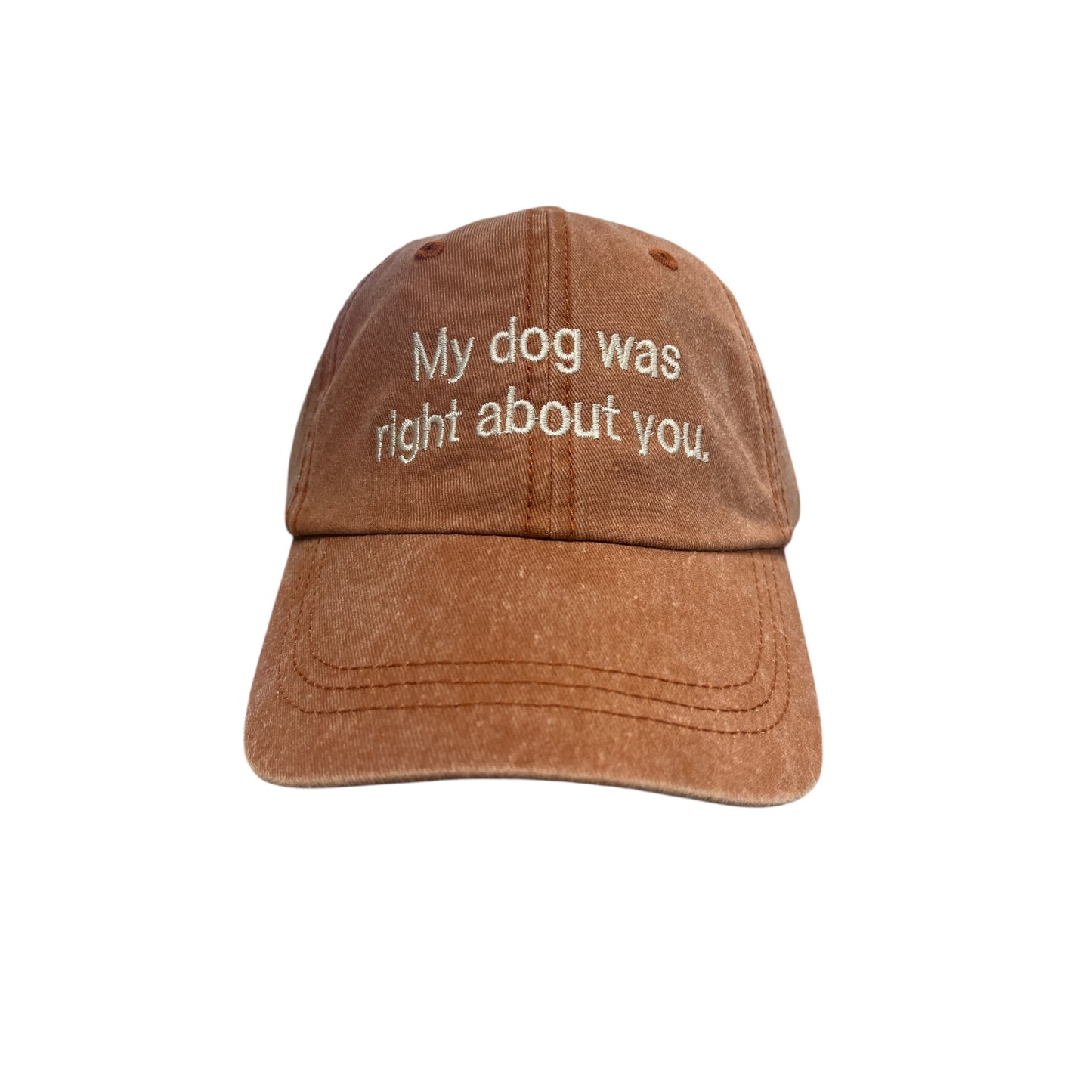 My Dog Was Right About You Baseball Cap