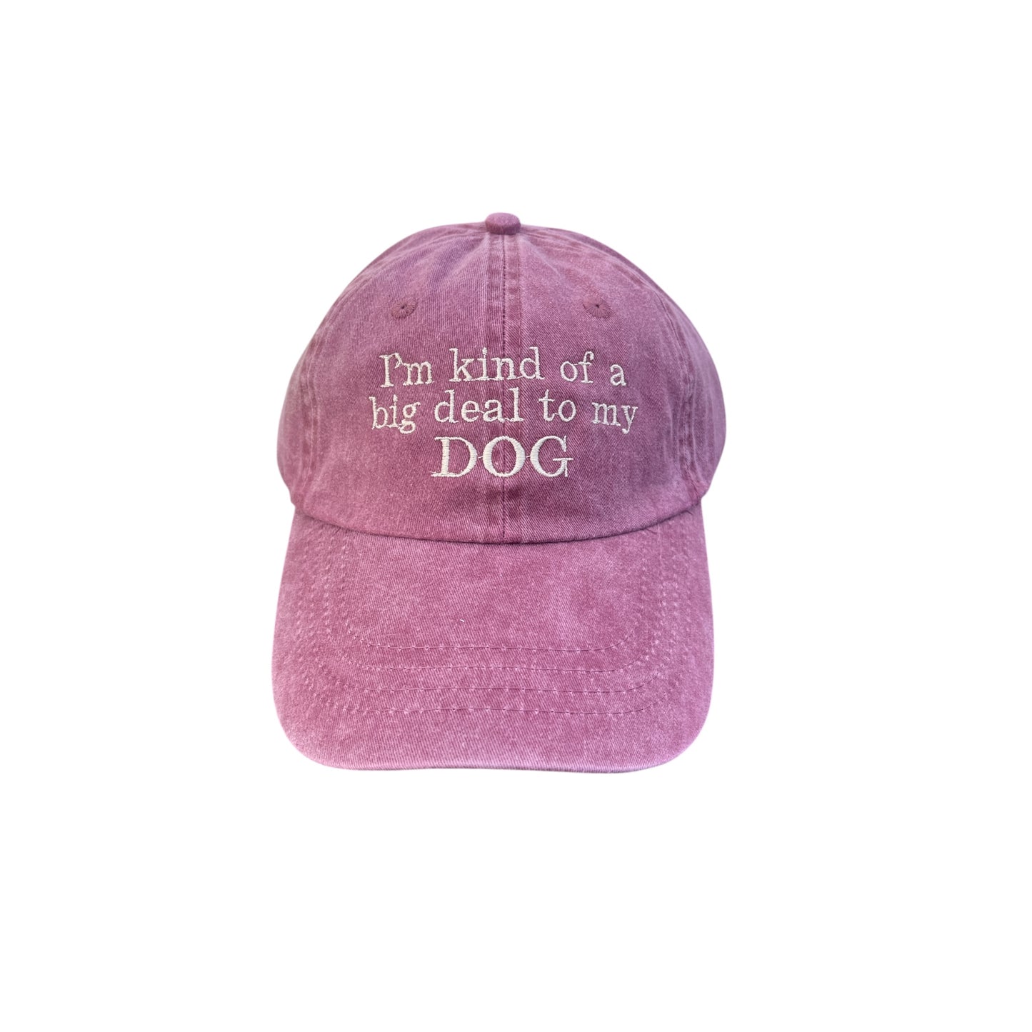 I'm Kind Of A Big Deal To My Dog Baseball Cap