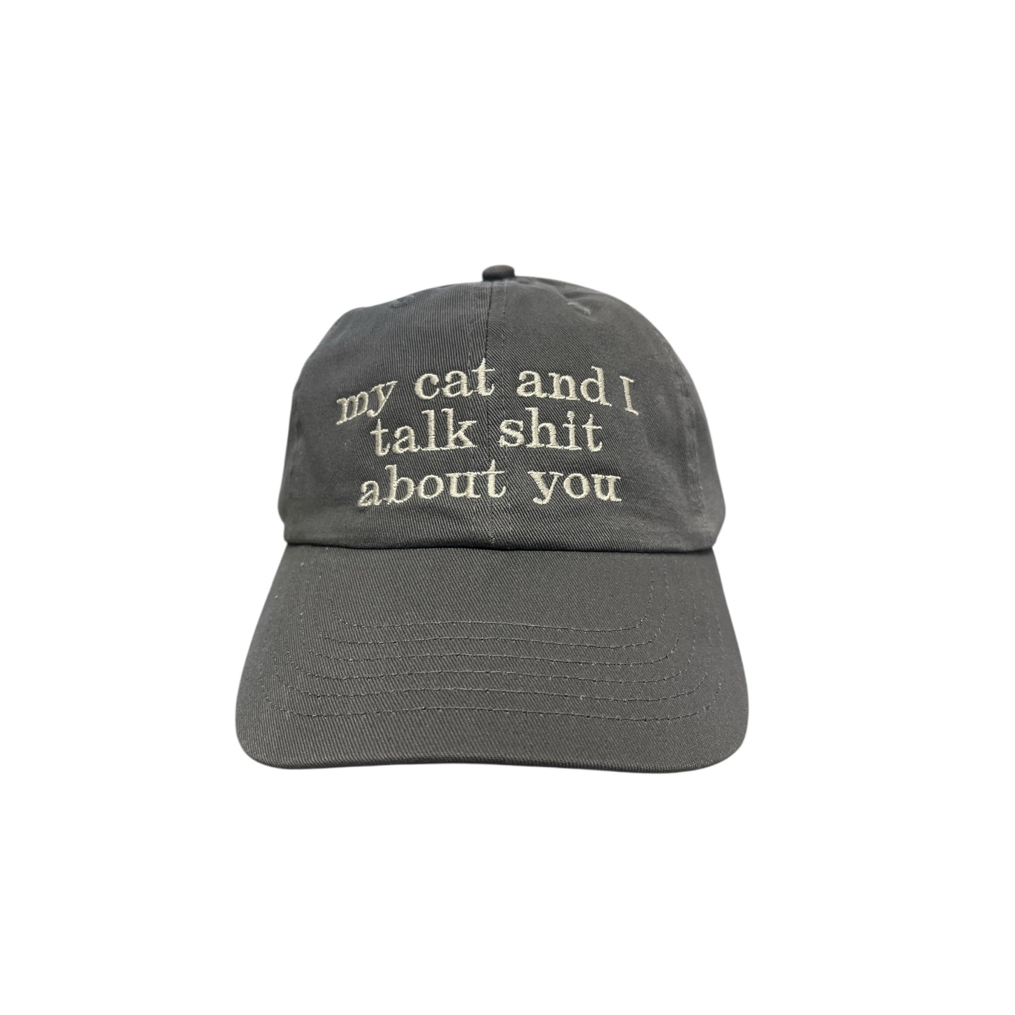 My Cat And I Talk Shit About You Baseball Cap