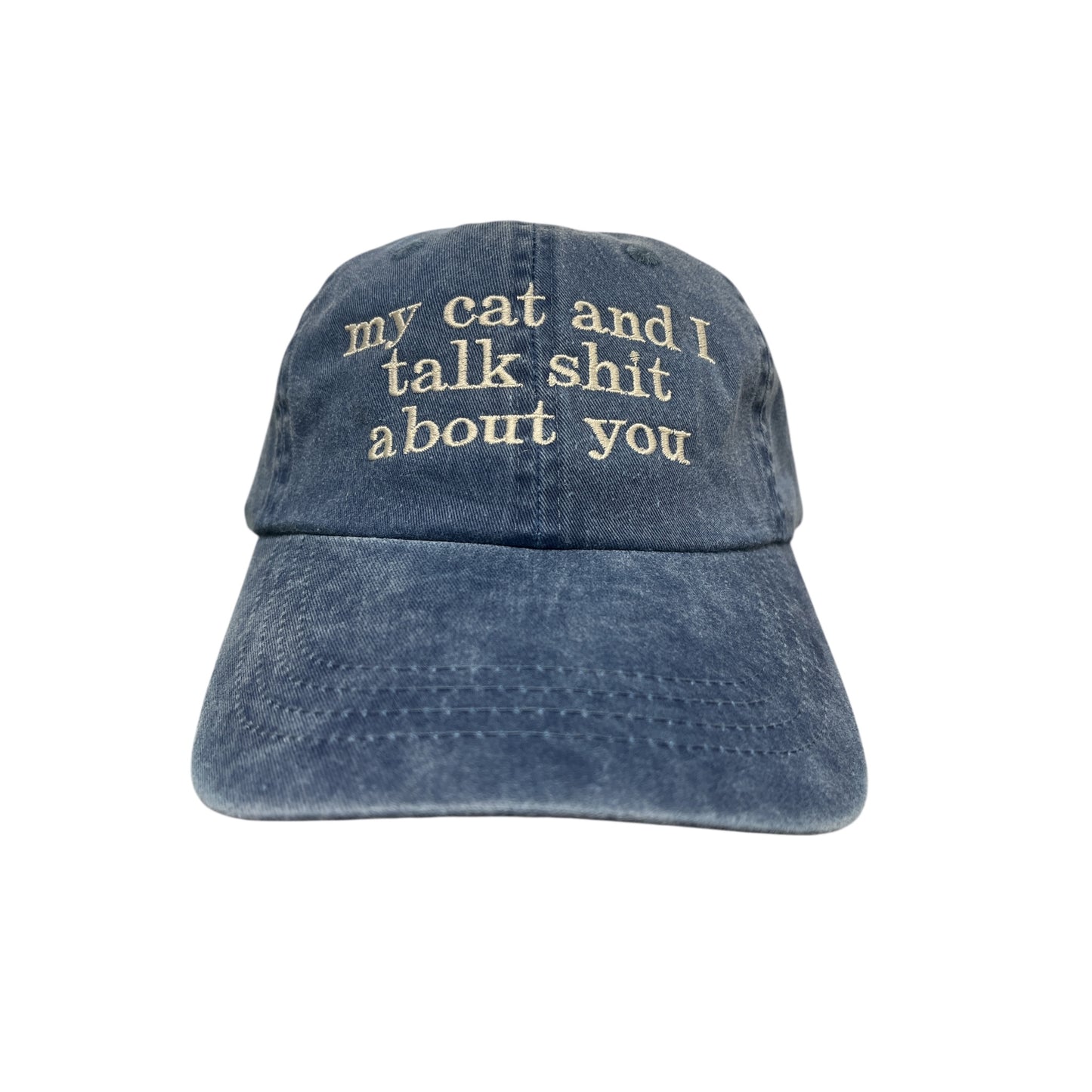 My Cat And I Talk Shit About You Baseball Cap